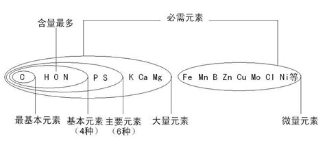 基本元素|基本元素，最基本元素，主要元素的概念